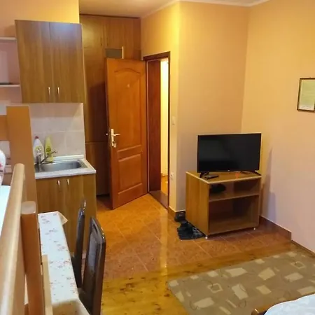 Apartments Vukomanovic Zlatibor Exterior photo