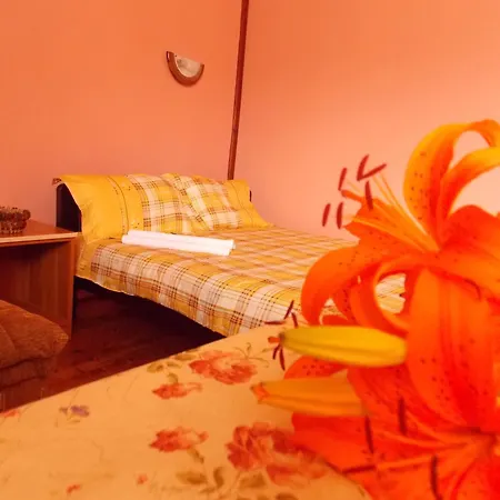 Apartments Vukomanovic Zlatibor Room photo