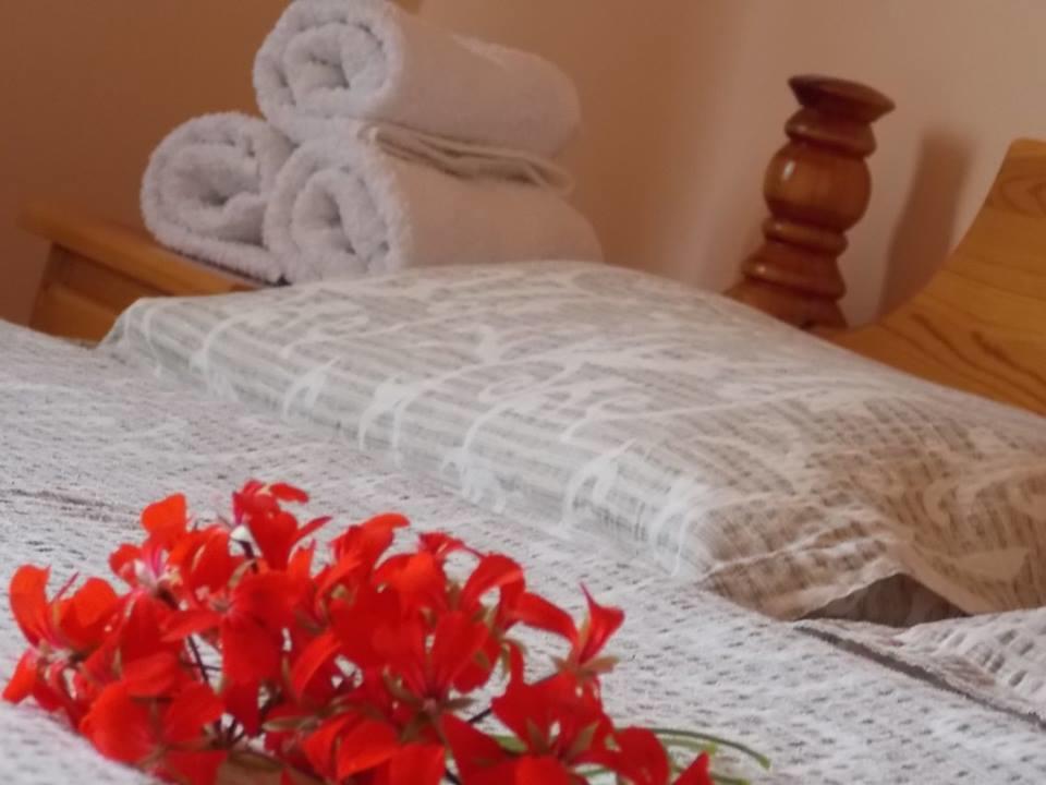 Apartment Vukomanovic Zlatibor